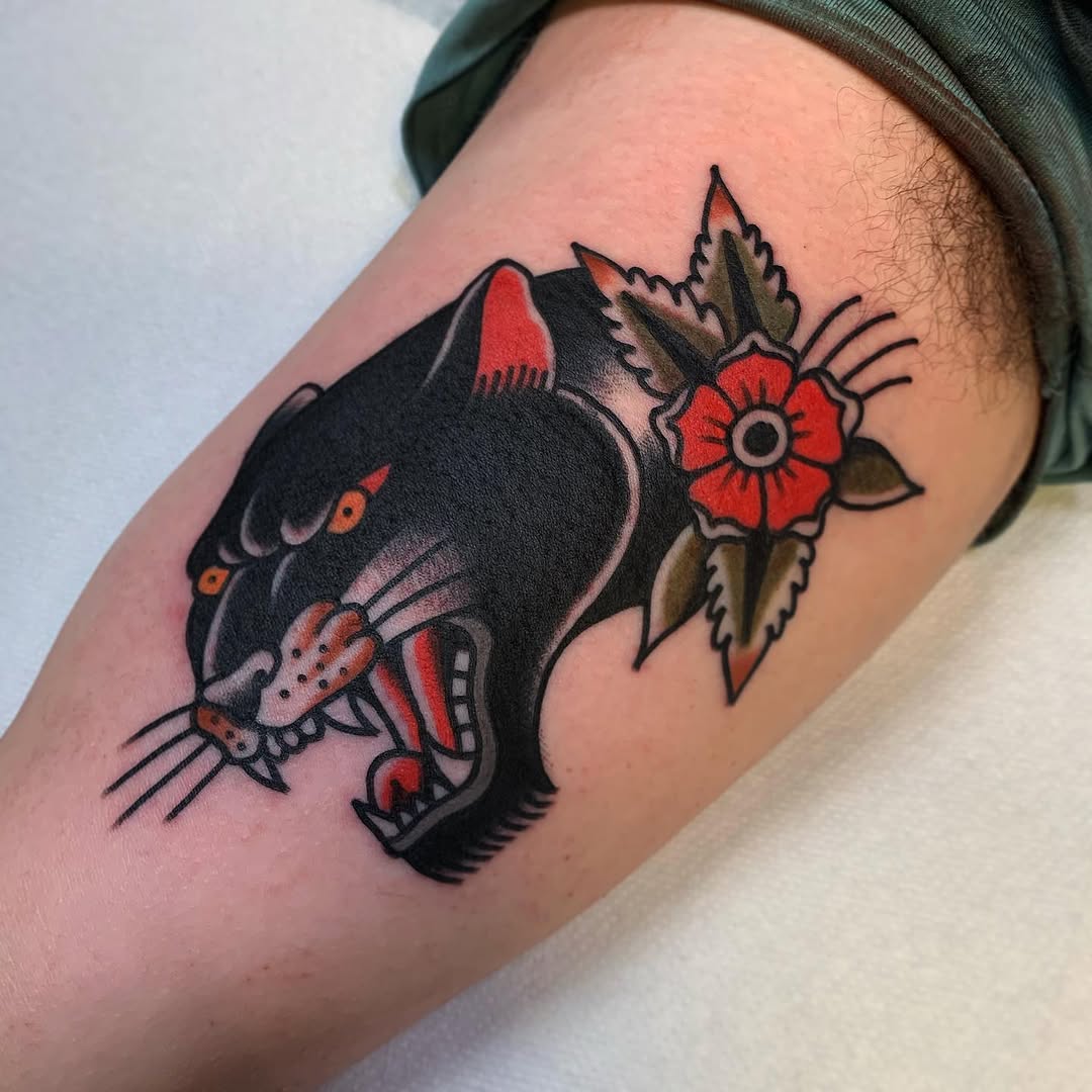 Tiger, Animal