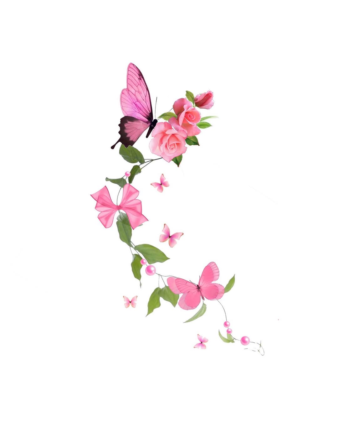 Flower, Nature, Rose