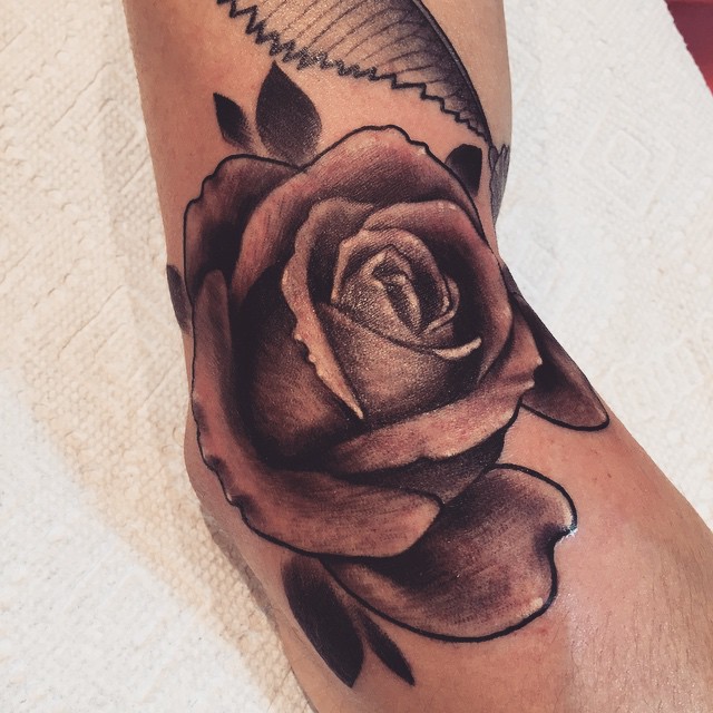 Rose, Flower