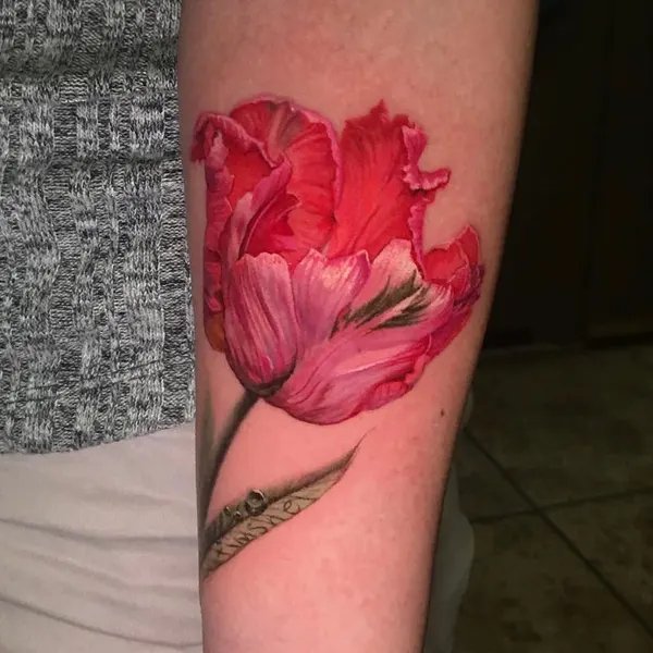 Flower, Rose