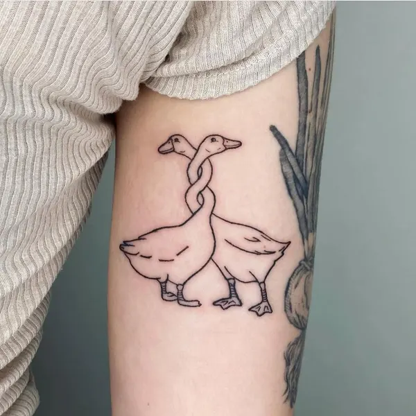equilattera