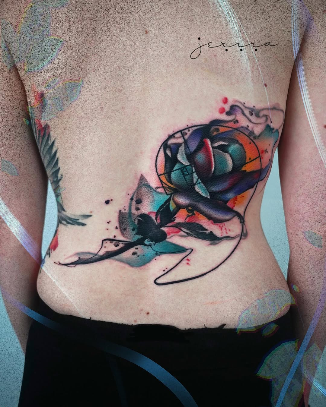 Flower, Rose, Nature