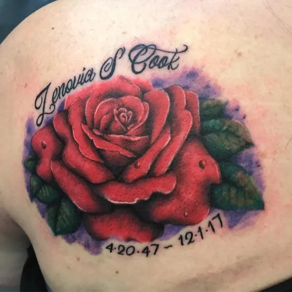 Flower, Rose, Nature