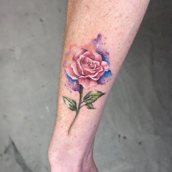 Flower, Rose
