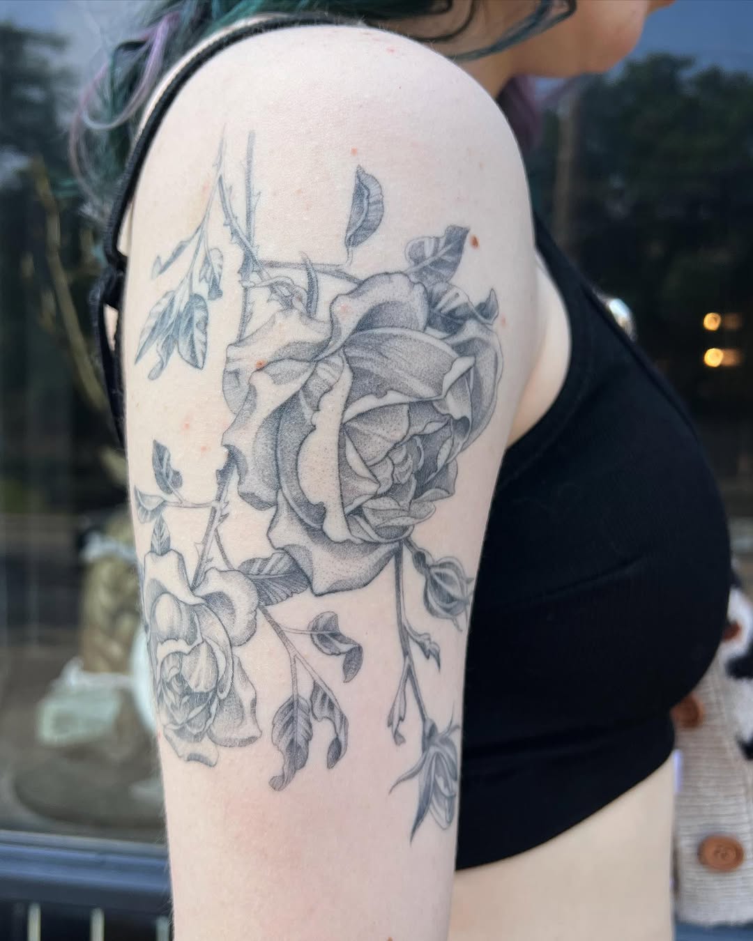 Flower, Rose, Nature