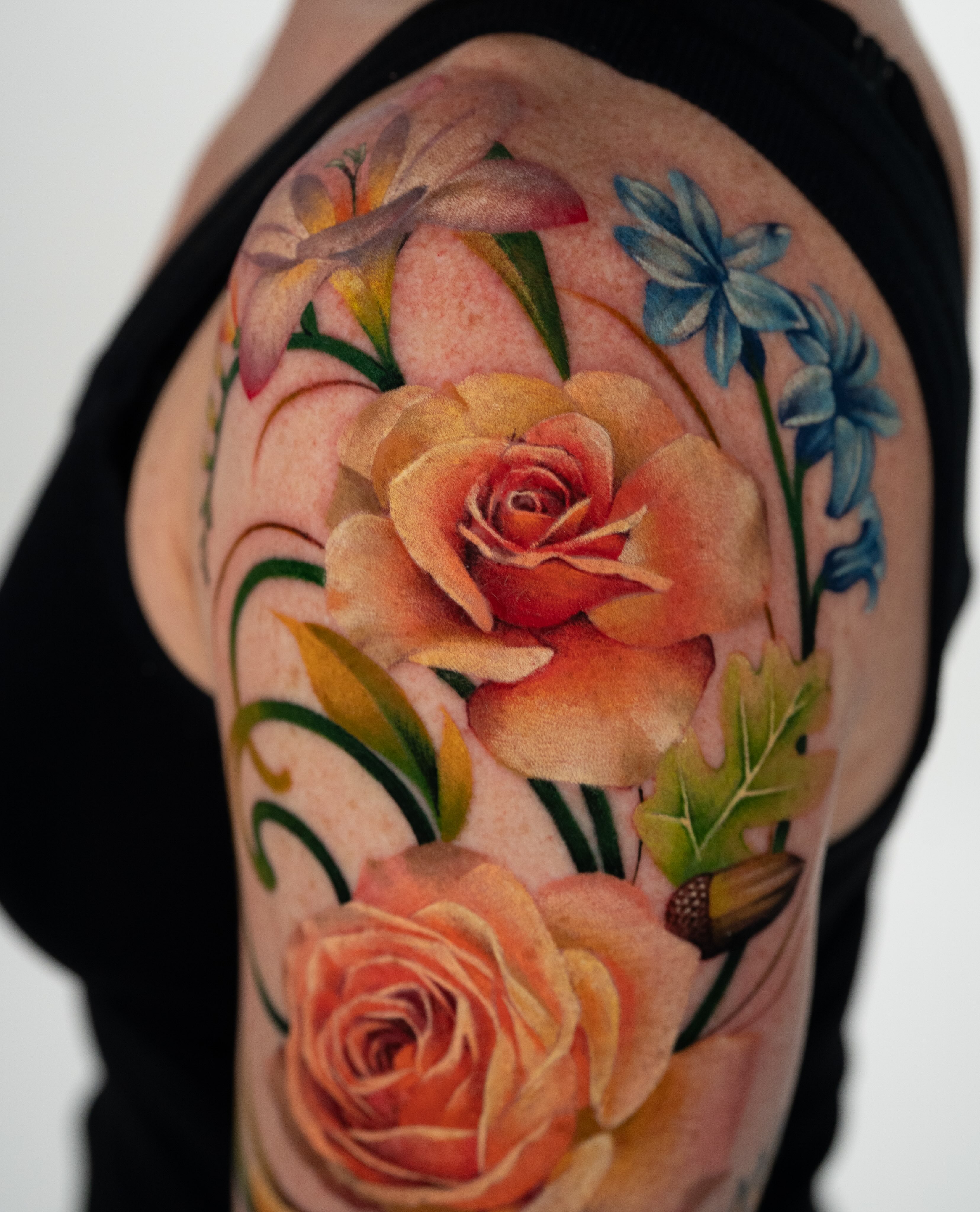 Flower, Rose, Nature