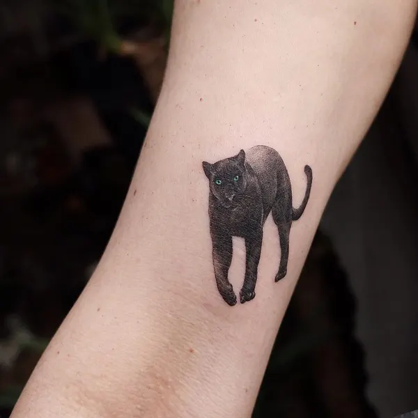Animal
