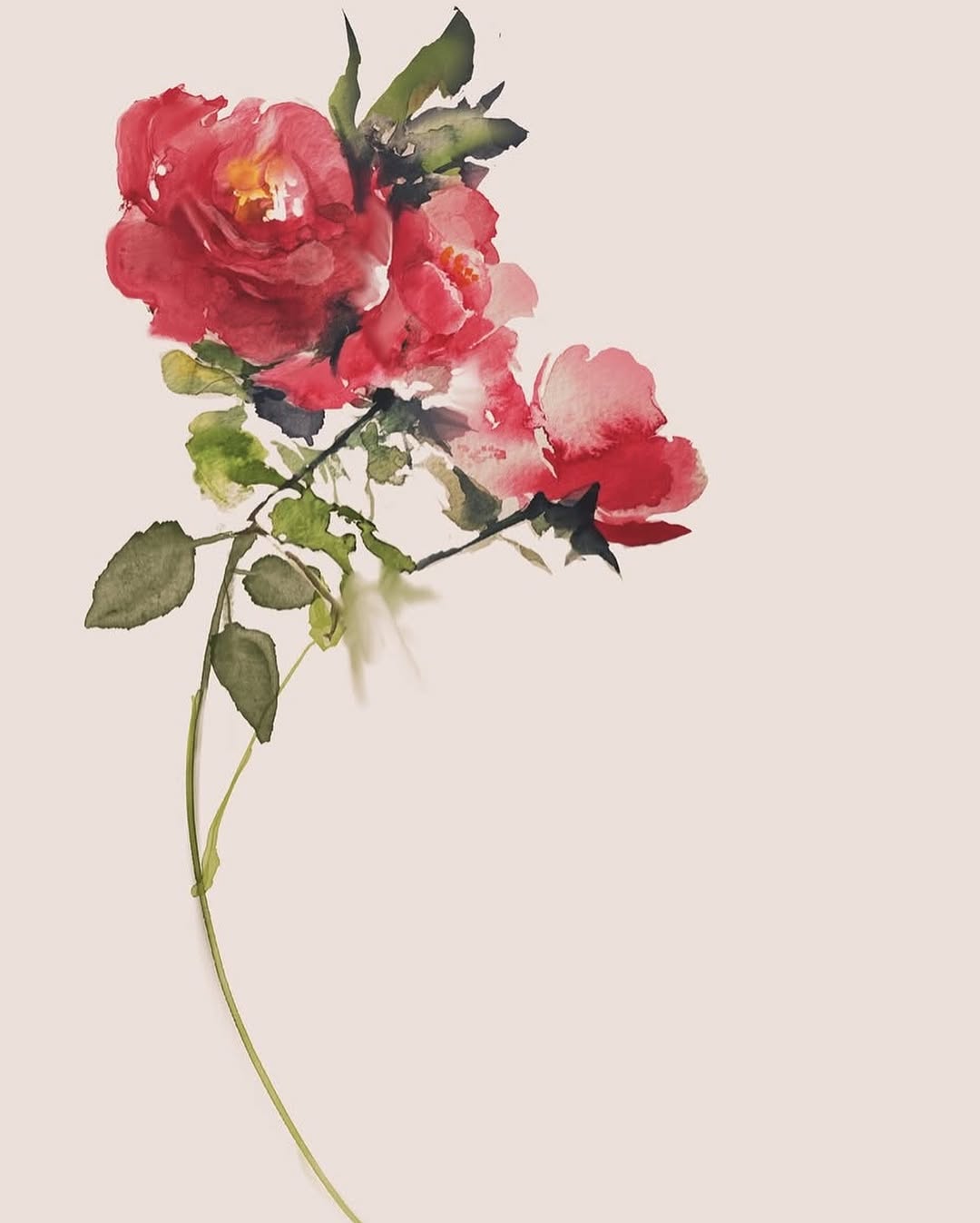 Flower, Rose