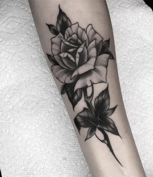 Flower, Rose