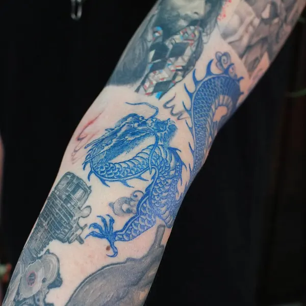 swanissober