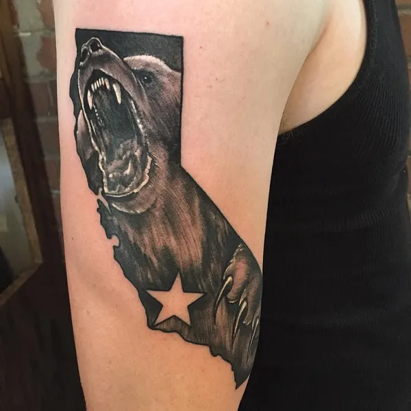 Animal