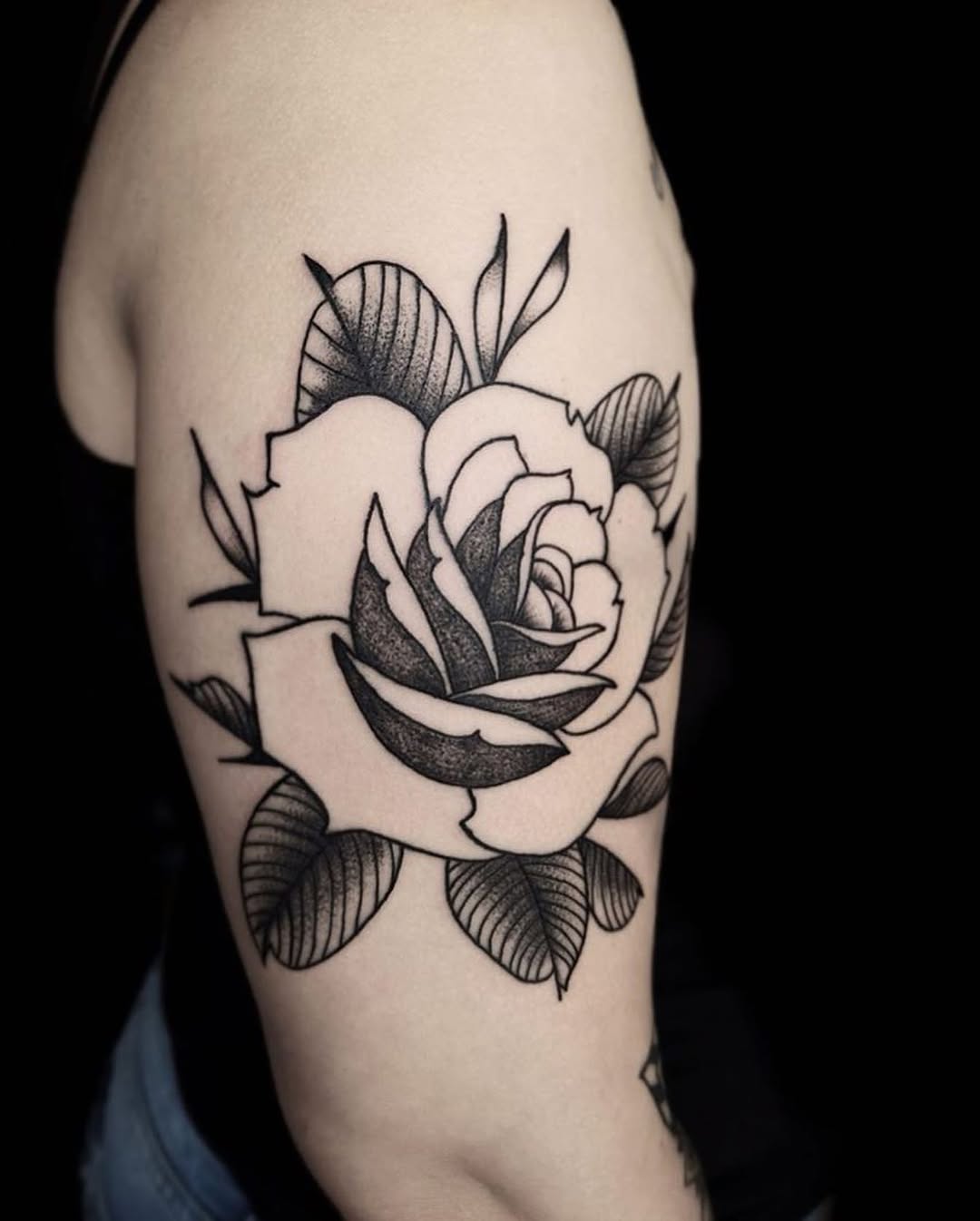 Flower, Rose, Nature