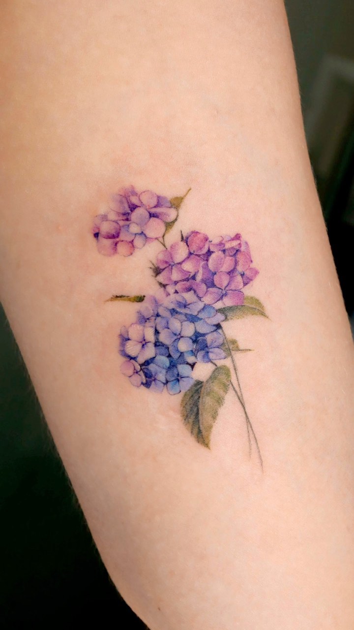 Flower, 수국