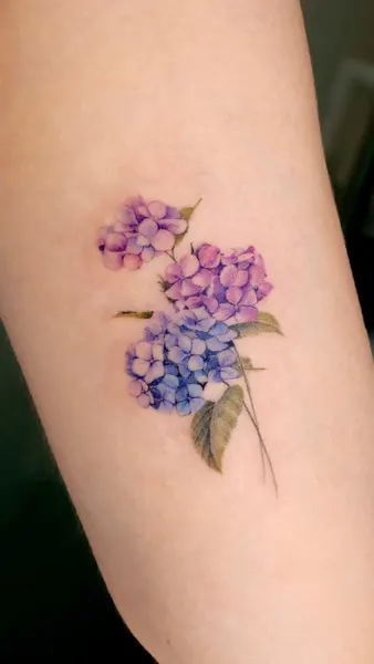 Flower, 수국
