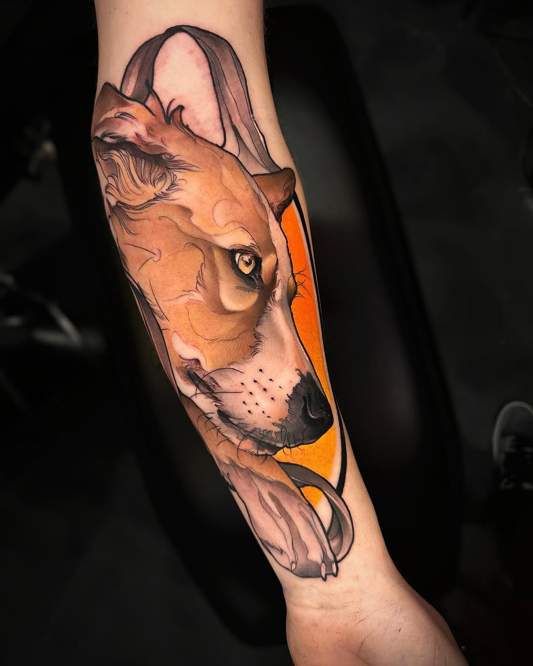 Animal