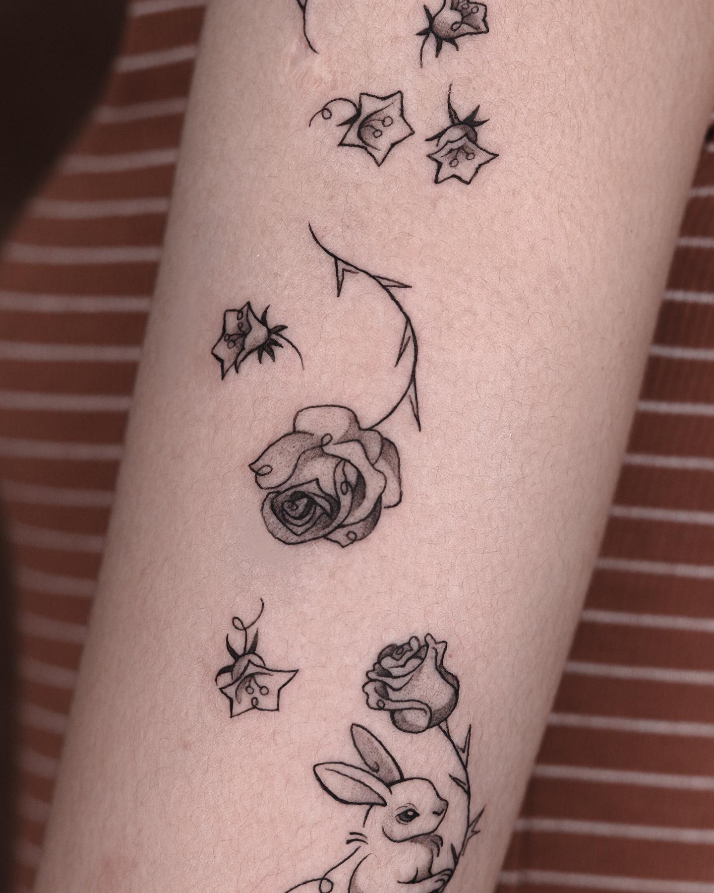 Flower, Rose