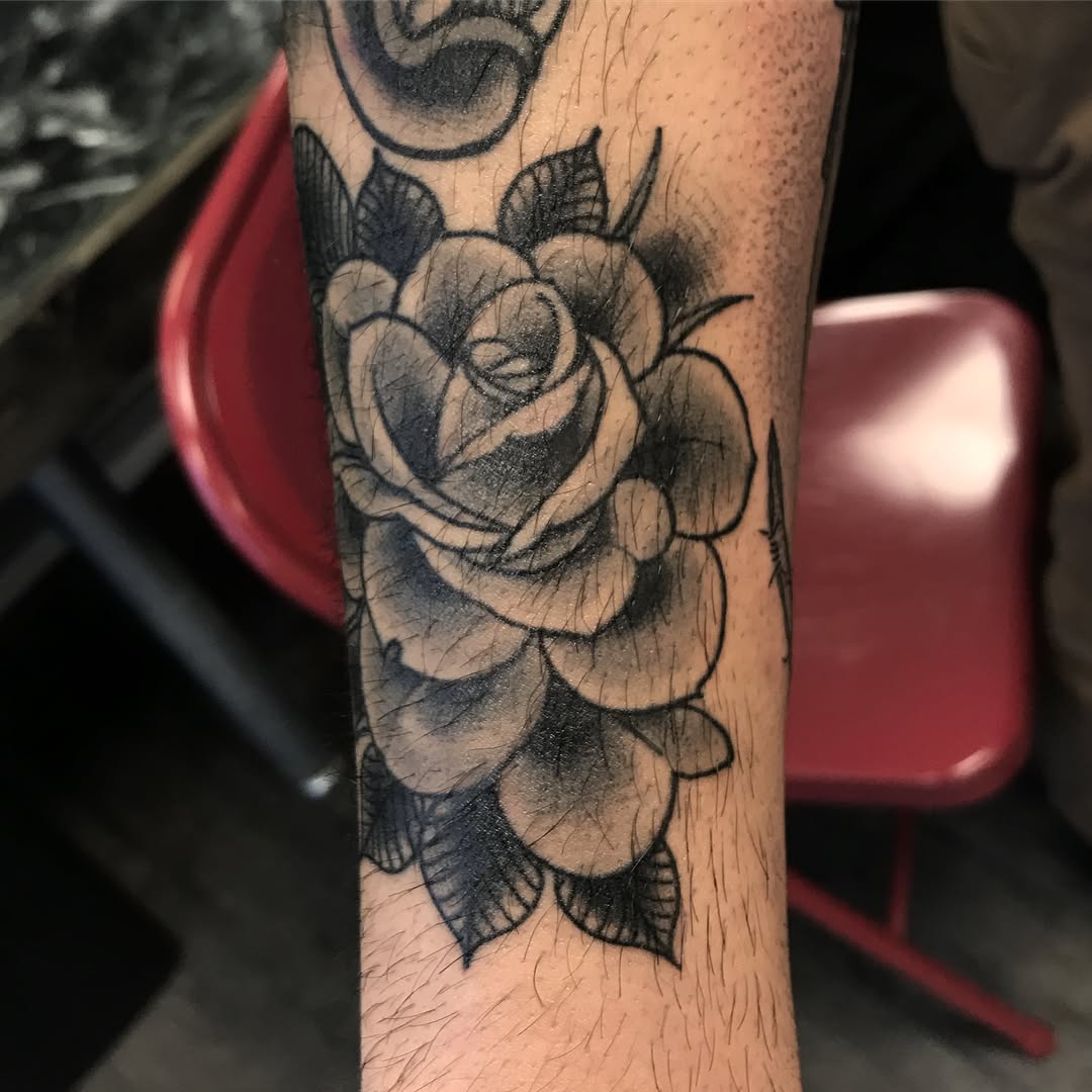 Flower, Rose