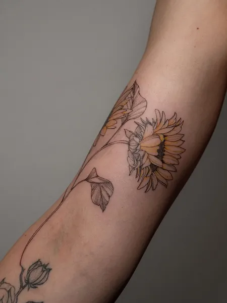 Flower, 해바라기