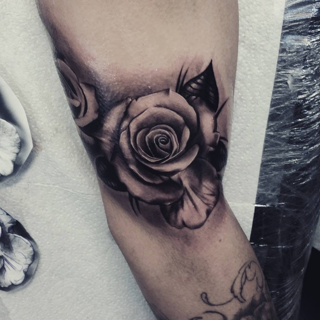 Flower, Rose