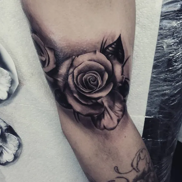 Flower, Rose