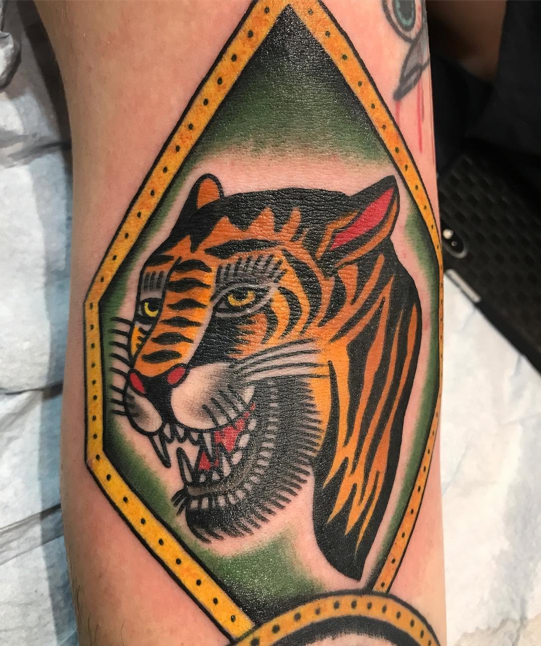 Tiger, Animal