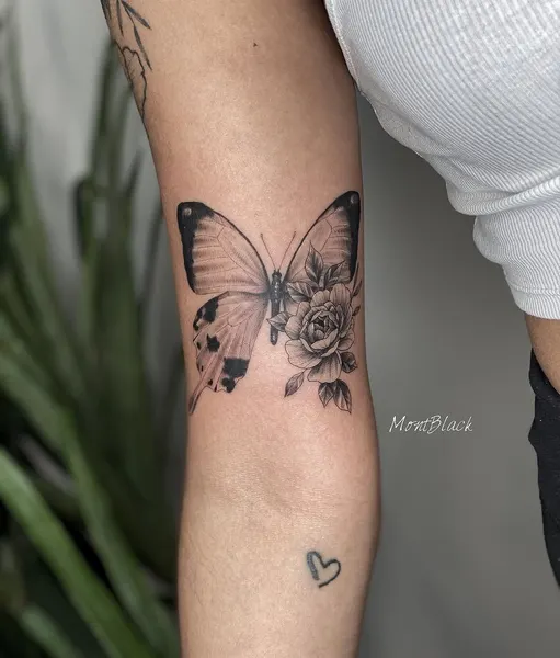 Animal, Nature