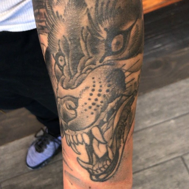 Tiger