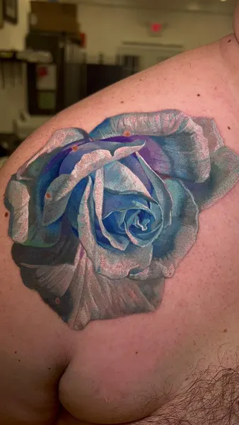 Flower, Nature, Rose