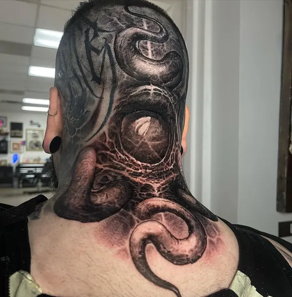 Dragon, Animal