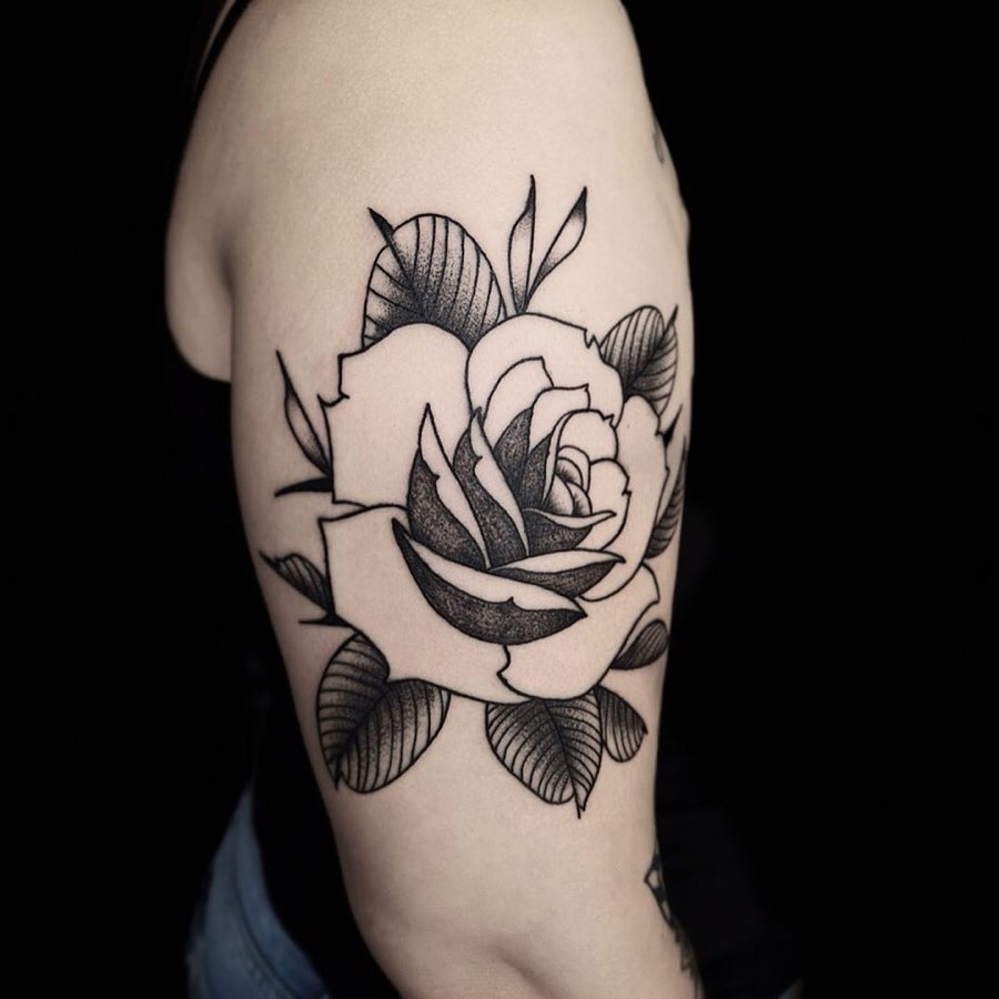 Flower, Rose, Nature