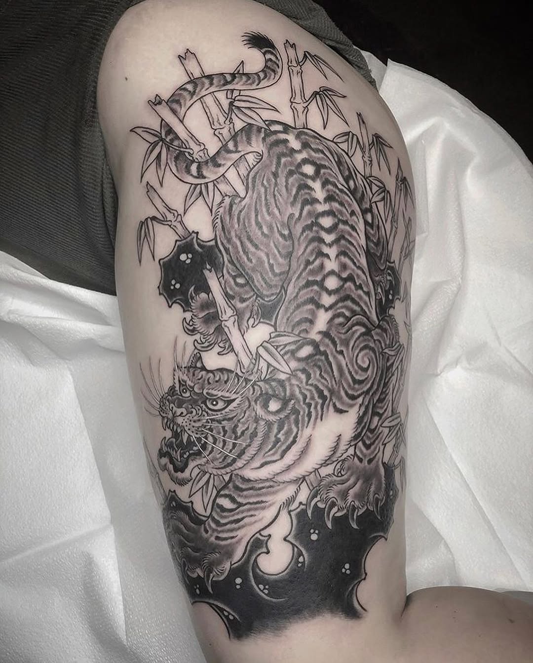 Dragon, Tiger