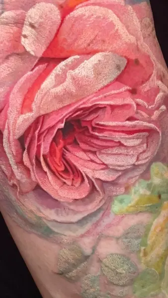 Flower, Rose