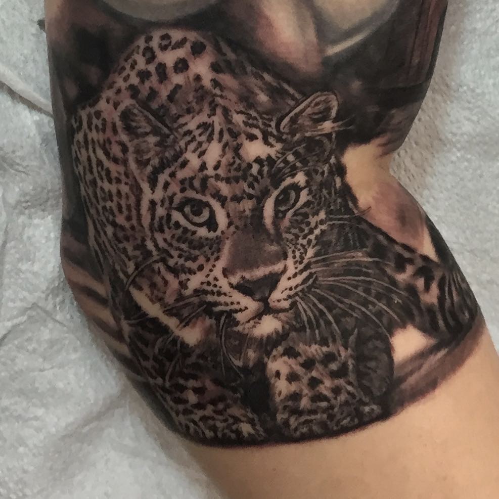 Animal