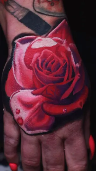 Flower, Rose