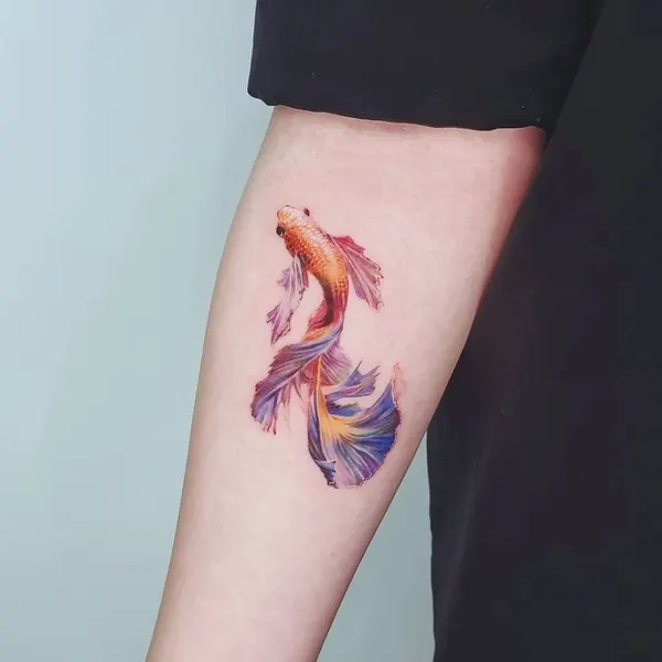 Animal, 잉어