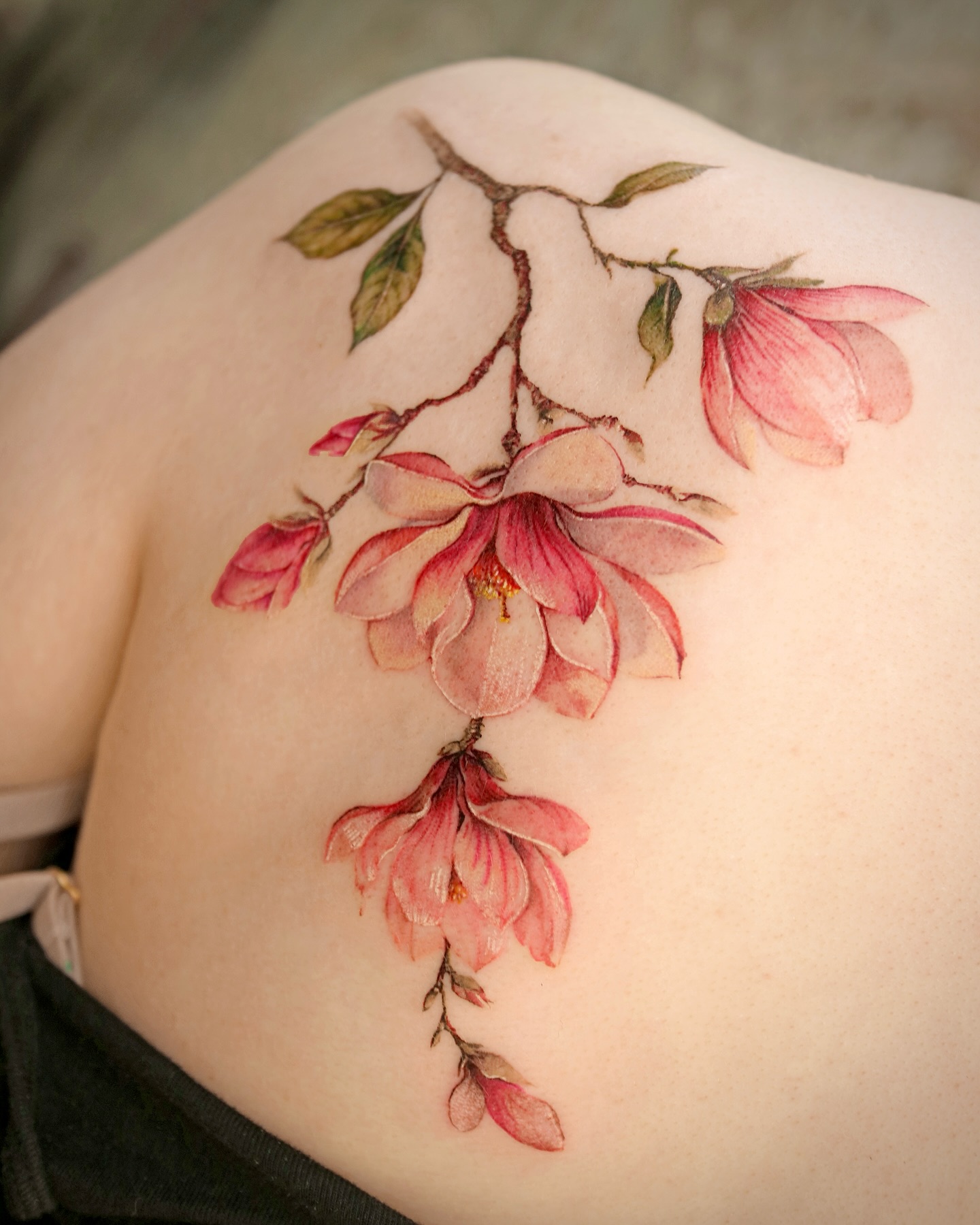 Nature, Rose, Flower