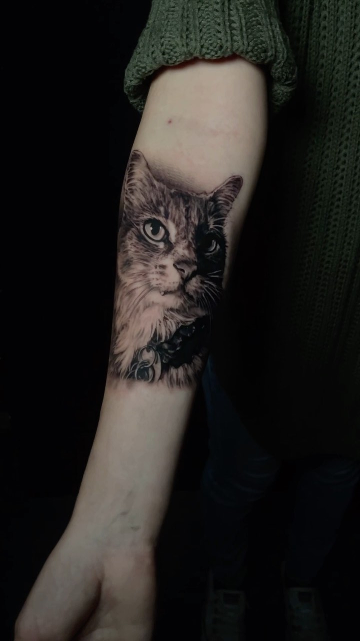 Animal