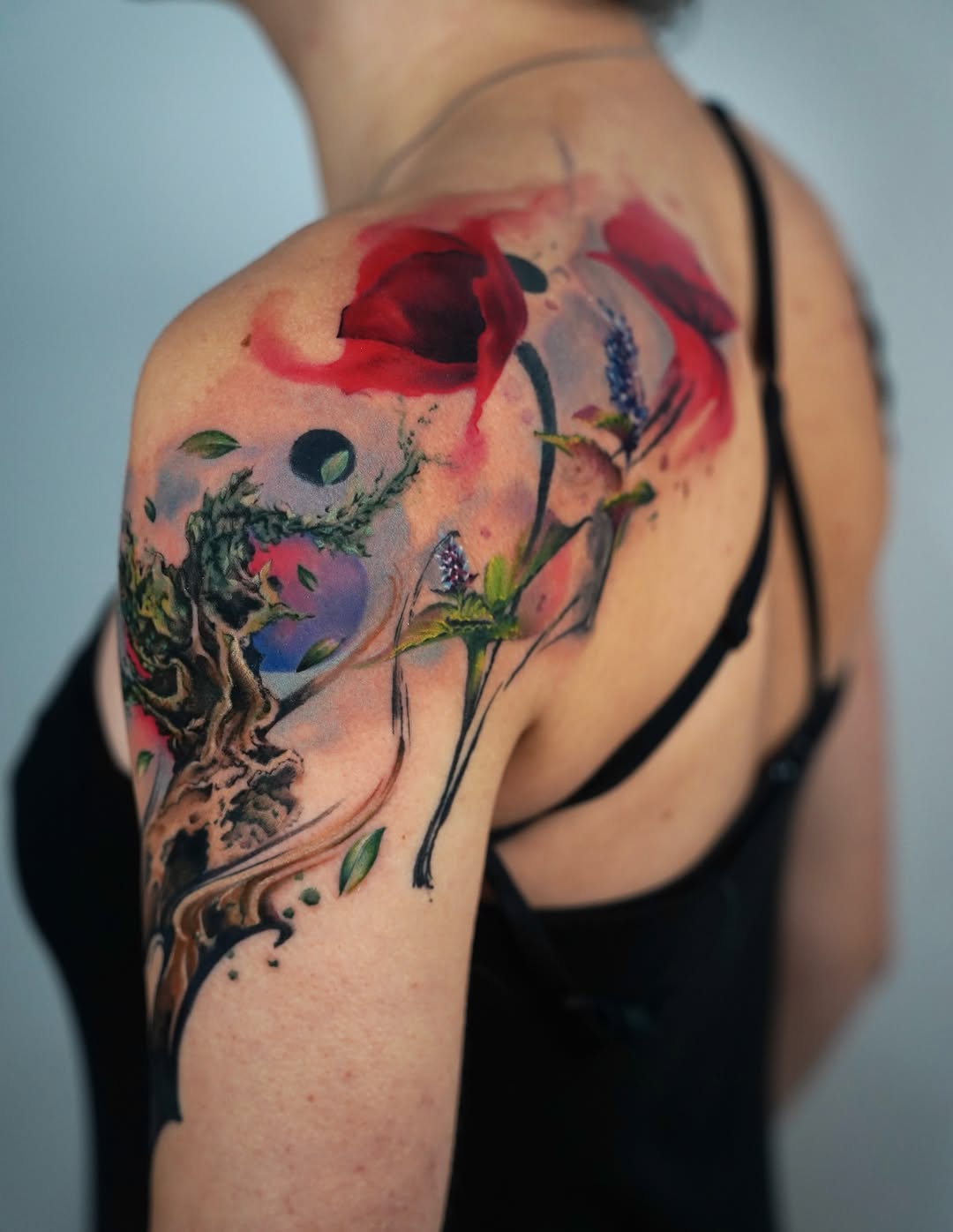 Flower, Nature, Rose