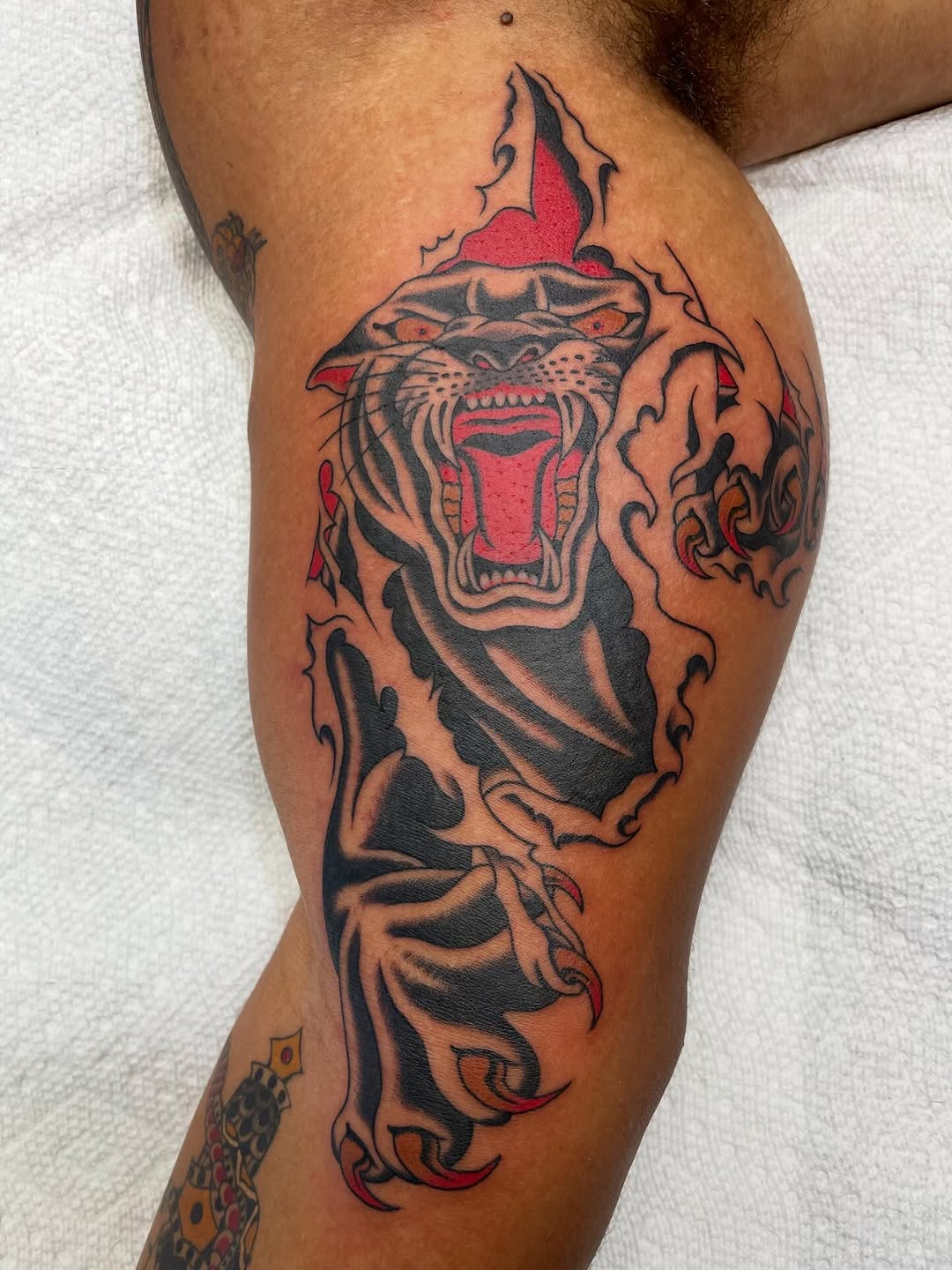 Tiger, Animal