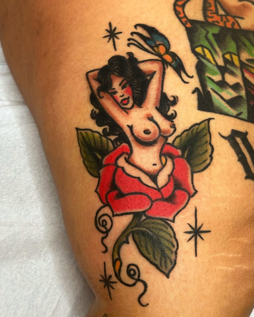 Flower, Rose