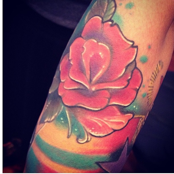 Flower, Rose