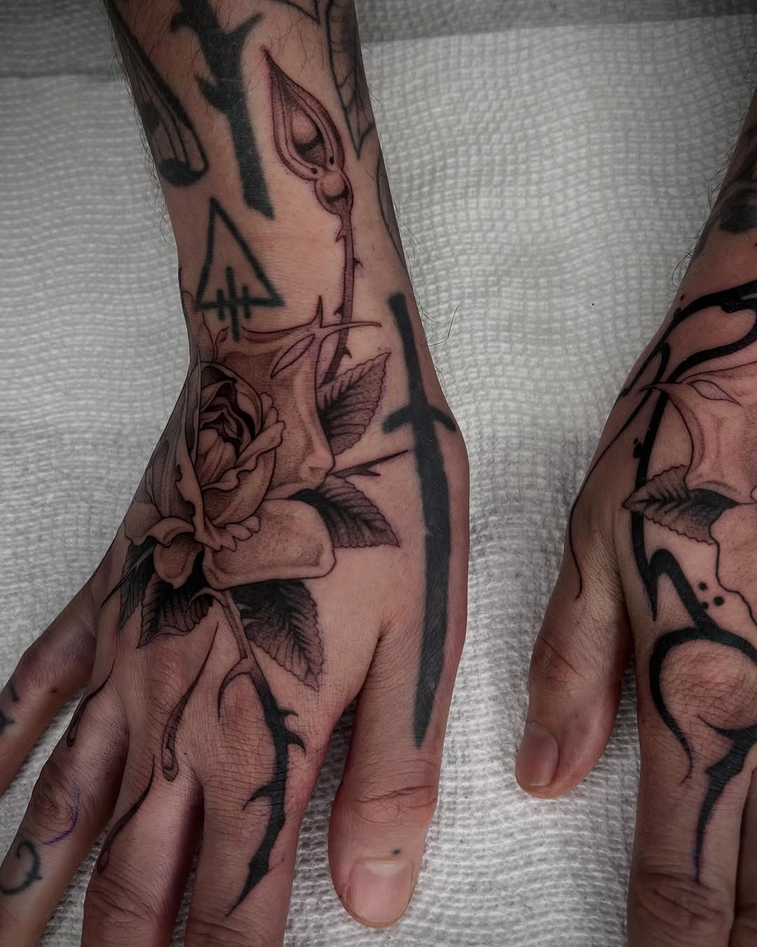 Flower, Rose