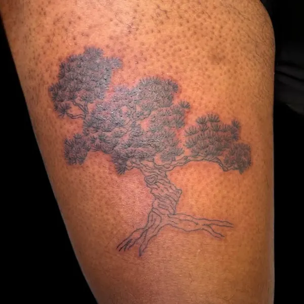 Nature