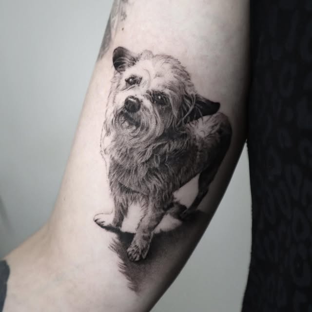 kate_sv_art