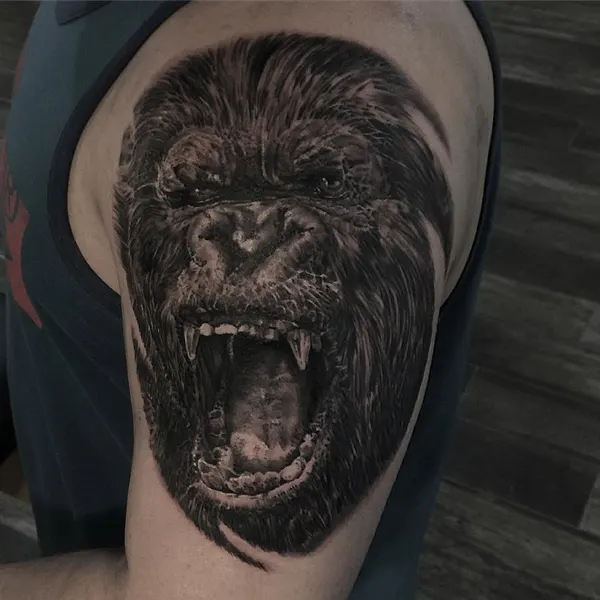 Tiger, Animal, 고릴라, 원숭이