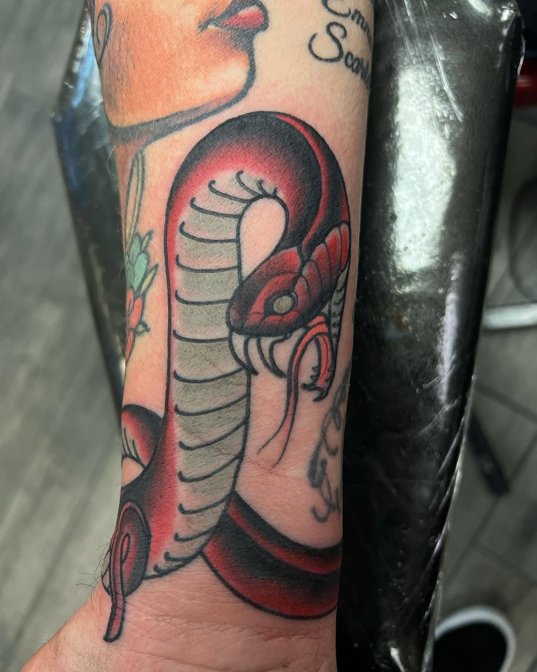 Dragon