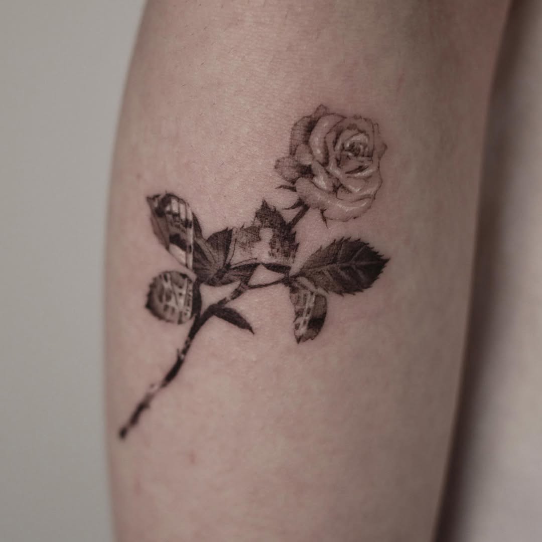 40.tatt