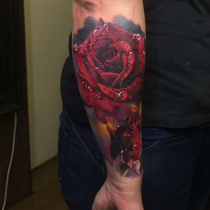 Flower, Rose