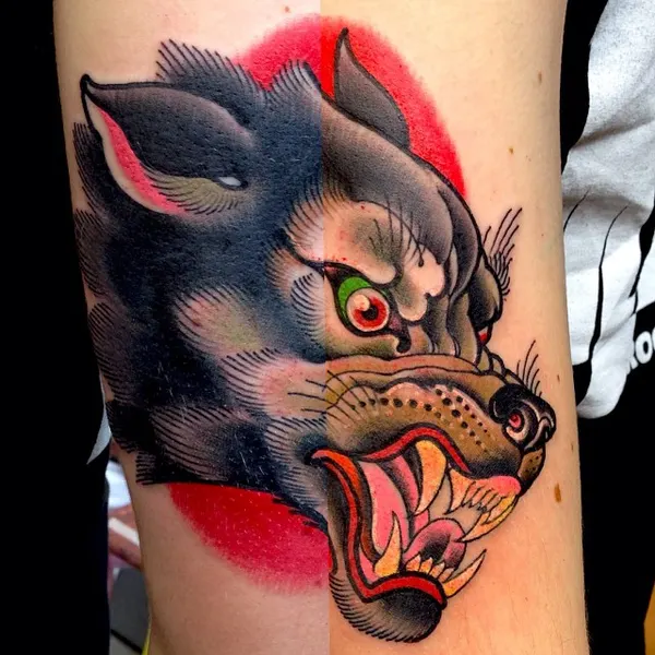 Tiger, Animal