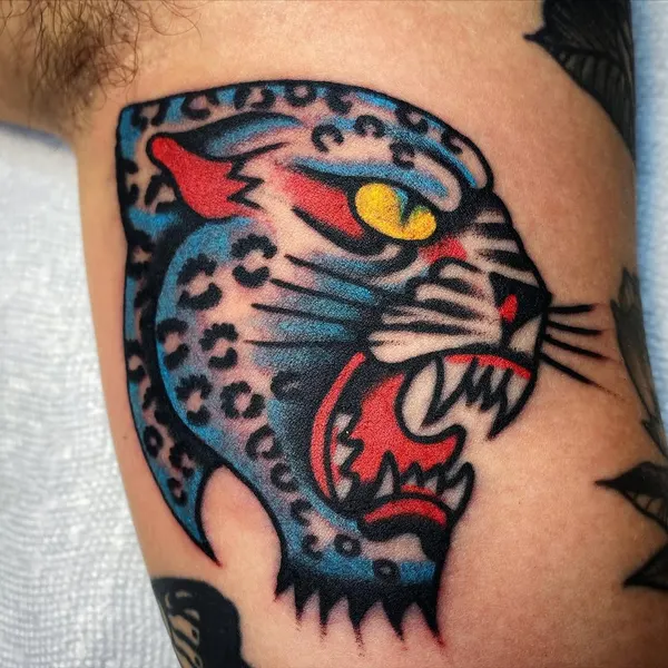 Tiger, Animal